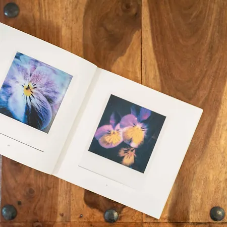 Daire Casa San Giacomo